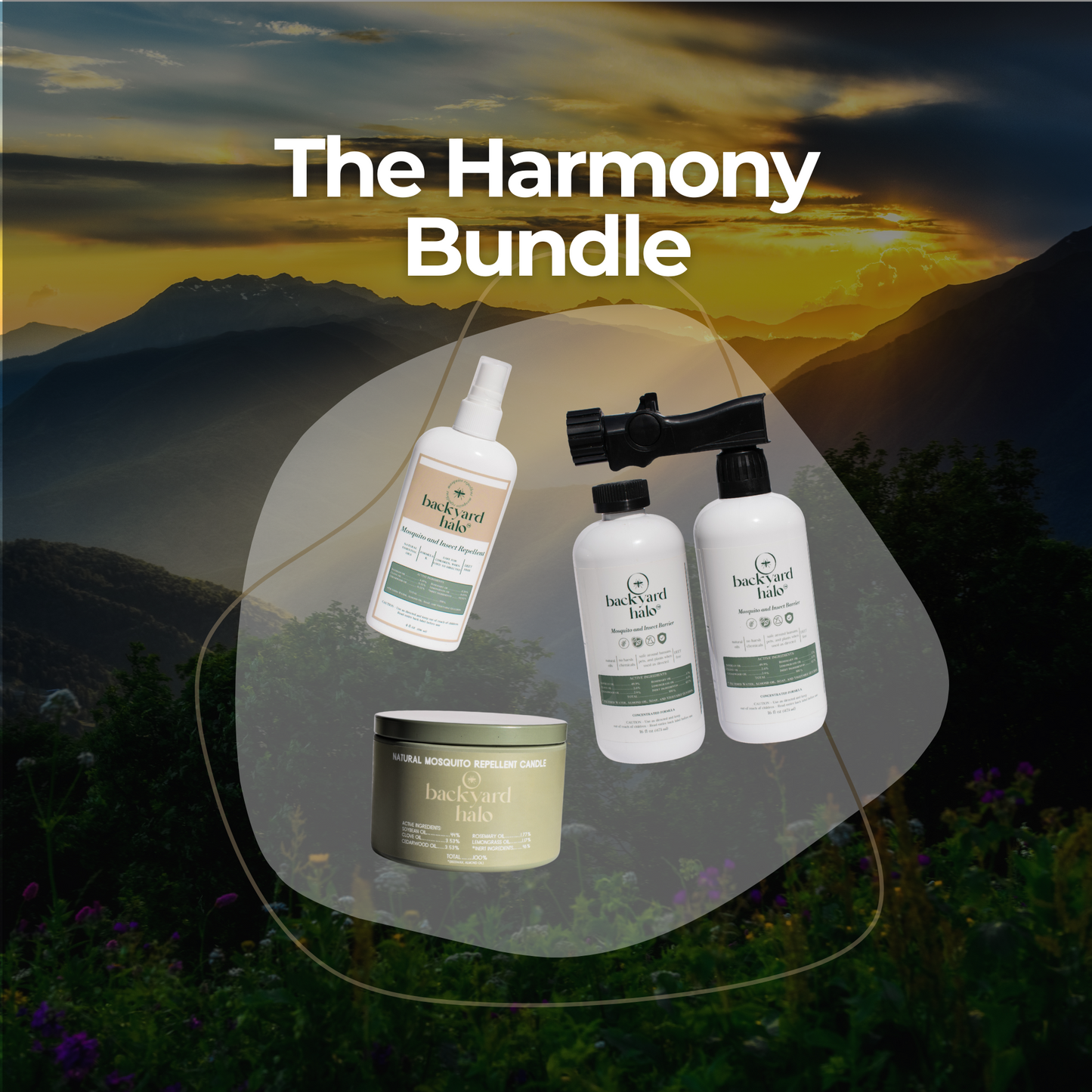 The Harmony Bundle